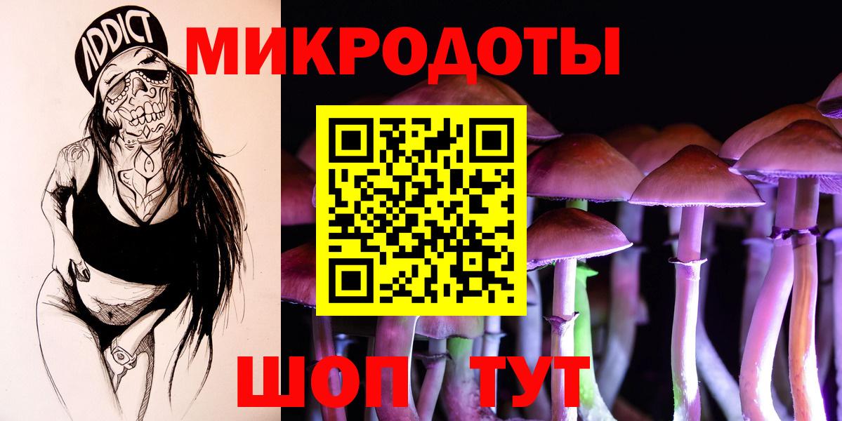 Галлюциногенные грибы Psilocybe Когалым